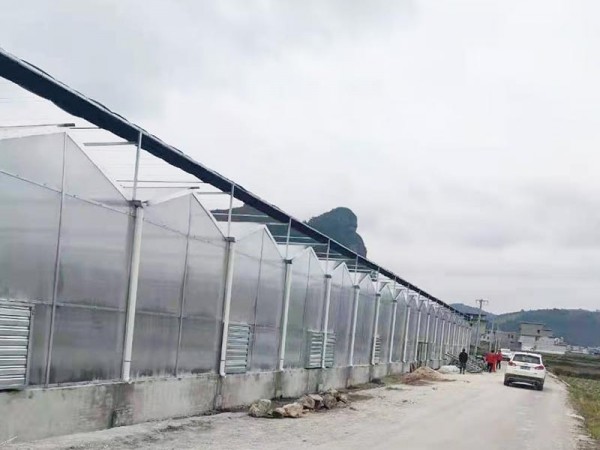 溫室大棚為什么要選用PC陽(yáng)光板做覆蓋材料？